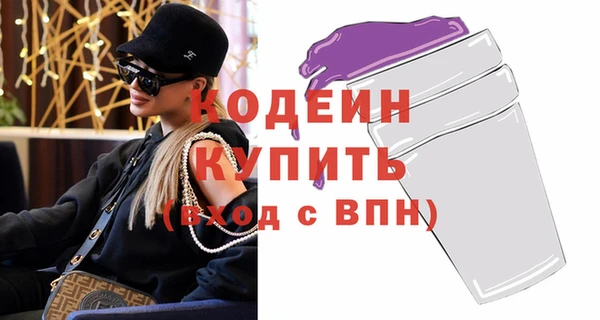 ECSTASY Бородино