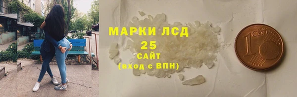 ECSTASY Бородино