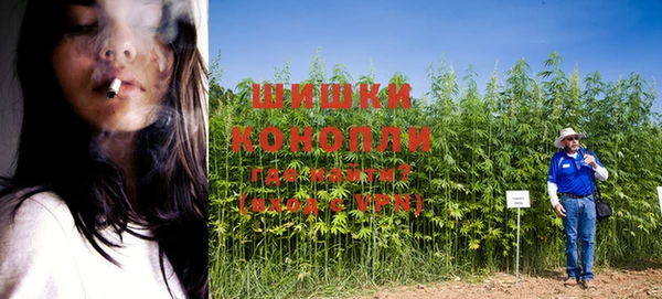 ECSTASY Бородино