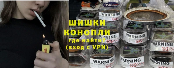 ECSTASY Бородино