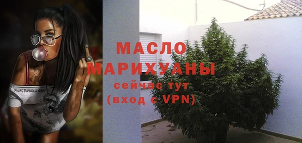 ECSTASY Бородино
