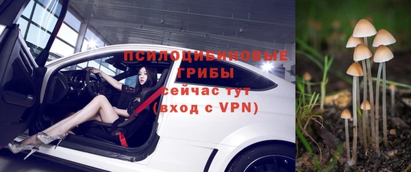 бутират Бугульма